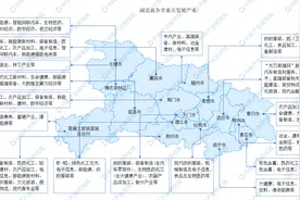 2024年湖北省重点产业规划布局全景图谱图片