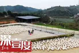 一只羽毛球如何影响一座城？图片