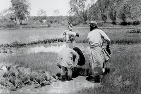 民国时期，真的没有搞经济建设吗？说说饱含血与汗的旧中国经济图片