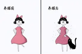 养猫和不养猫的人，生活区别有多大？这几点别太真实了！图片
