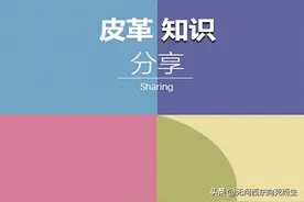 皮革种类—必看宝典（最全版）！图片