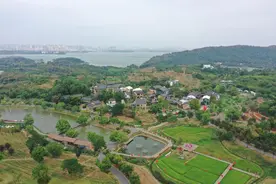 洞庭湖小镇： 岁月洗礼下的华丽蜕变图片