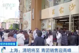 清明甜口青团销量5.6倍力压咸口获胜 巧克力、芋泥、抹茶等成热门口味前十图片