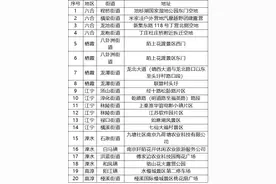 多地官宣：今年可燃放烟花爆竹图片