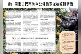 走！周末去巴南美亨公社摘玉龙柚吃刨猪汤图片