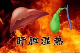 茵陈加2宝，清利肝胆，把湿热一扫而空，挖出肝病的“老根”!图片