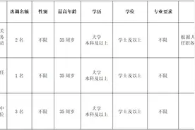 2025年中共深圳市龙岗区委宣传部面向区内公开选调公务员、职员公告图片