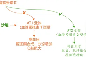 厄贝沙坦、缬沙坦、氯沙坦……一文盘点9种沙坦降压药！图片