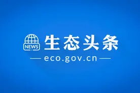 生态头条 | 什么？大熊猫吃的不是竹子而是“肉”?图片