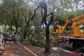 梧州全力应对强对流降雨天气，河东防洪堤已关闭一个闸门图片