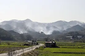 日本冈山县山林火灾过火面积已扩大至约559公顷图片