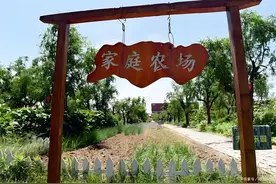 家庭农场、农民专业合作社、农业公司到底有什么区别？图片