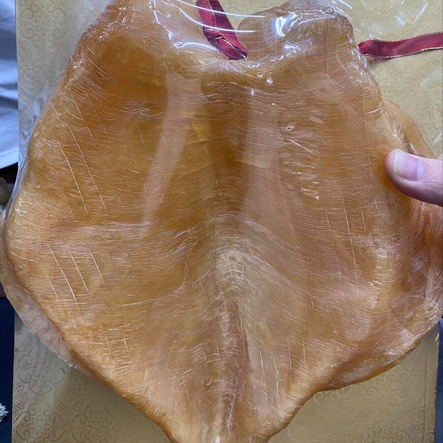花胶为什么泡不大 2026年为什么我买的花胶感觉泡不开