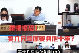 卖几只鸟你要判他10年？上诉二审庭审现场，律师激烈为其辩护无罪图片