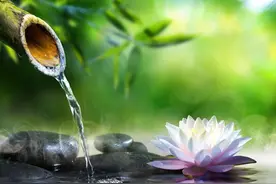 夏天多布施这样东西，是增加福报的一种简单而有效的方法图片