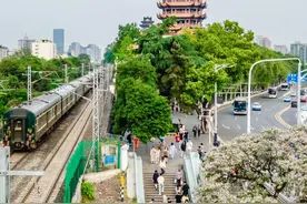 不排队！武汉最新攻略公开，拍照绝美图片