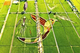 走起！邂逅沈阳都市圈的“秋日童话”~图片