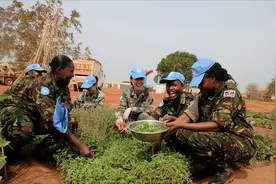 掌握毁灭世界级别的武力，却只愿意种菜，没错这就是中国人图片