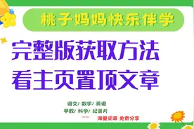 PDF打印 《典中点》语文1-6年级下 名师划重点 阅读提分手册 测试卷等图片