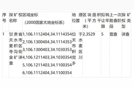 2024年甘肃省天水市麦积区寺沟街金矿详查探矿权挂牌转让公告图片