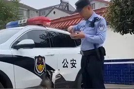 二哈迷路住进警局 被分配任务变成反诈汪图片