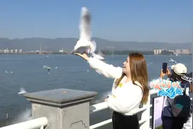 “昆明蓝”刷屏！这种春城独有的消费券，别错过→图片
