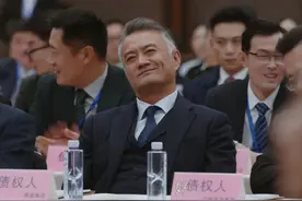 《无所畏惧2》：万纥重整失败！鼎薪刘总泄密，方丽虹、许卓认栽图片