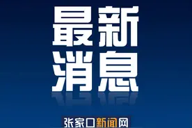 鸟类考量着一座城市的生态图片