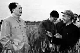 杨振宁：他是人类历史上的一位巨人！图片
