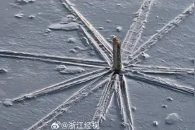 刚刚西湖结冰了！多地气温创今年入冬以来新低！天气大反转……气温触底猛升，直逼25℃图片