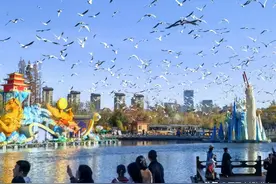 如果你在昆明只有半天时间，那么你一定要去去翠湖公园和大观公园图片