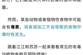 这些常见食物都有毒！来看看怎么辨别和预防？图片