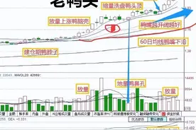 炒股不识“老鸭头”，再炒10年也枉然！无论是新股民还是老股民，图片