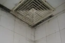 家中发现有蜘蛛结网有什么预兆？是好事还是坏事？图片