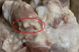 315晚会曝光：一厂家用淋巴肉做梅菜扣肉！淋巴肉危害为何那么大图片