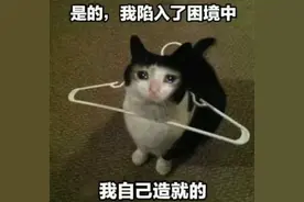 【健康科普】病理切片怎么借？借白片还是有色片？图片