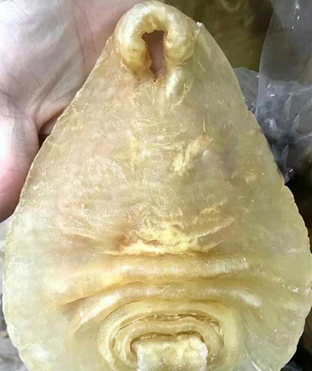 假花胶是什么合成的 2026年假花胶是什么合成的物质