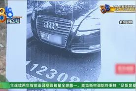 能借奥迪，没钱赔偿？收费员大姐被打，有后续了图片