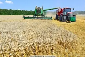 中俄粮食产量差距犹如断崖！俄罗斯年产量1.42亿吨，中国多少吨？图片