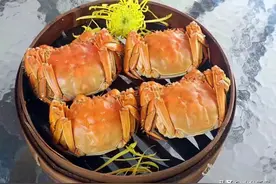 阳澄湖大闸蟹最佳品蟹期为10月中旬以后图片
