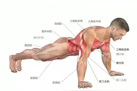 正常人一次做几个俯卧撑才算合格？怎么做俯卧撑标准？图片