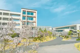 2024年襄阳四中樱花节校园开放日公告图片