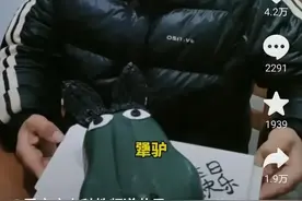 笑不活了，女儿给父亲买犟驴生日蛋糕，我要笑死在评论区里图片