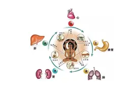 中医为什么说“胃绝吐食浆、肝绝十指僵、肾绝汗发凉”图片