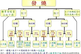 倪海厦：感冒咳嗽发烧常用方剂辨证 ​​​图片