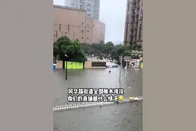 湖北襄阳暴雨水浸街，当地居民:水深一米多，网友评论区炸锅图片