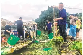 清除大面积水葫芦，确保航行安全图片