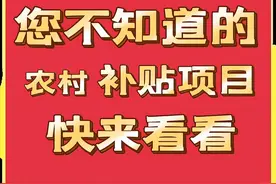 农村人五大巨款补贴，看了吓一跳！原来农民居然可以领这么多图片