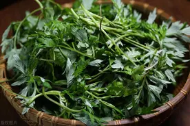干艾叶搭配食盐，作用太厉害了，帮助了很多中老年人！图片