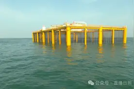 目标年产6000吨！你吃的三文鱼，可能来自日照这里！图片